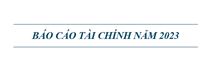 báo cáo tài chính năm 2023